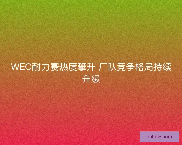 WEC耐力赛热度攀升 厂队竞争格局持续升级