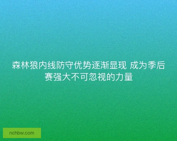 森林狼内线防守优势逐渐显现 成为季后赛强大不可忽视的力量